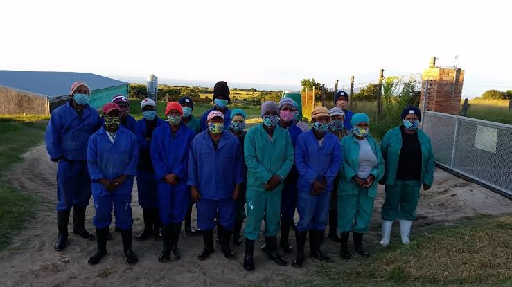 Just Milk Student Program