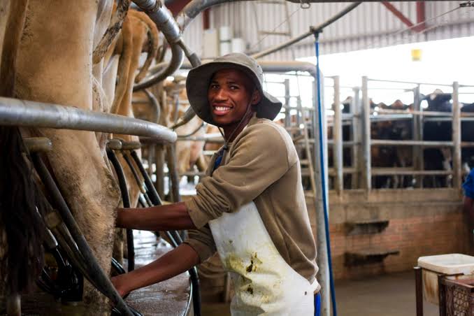 N2P farming careers programme