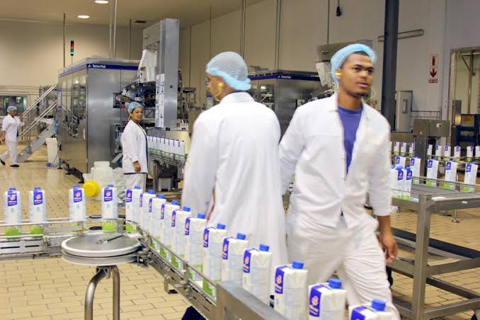 Clover Field Marketer Witbank Middelburg